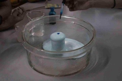 04大象牙膏实验