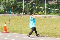 17-常年校内运动会