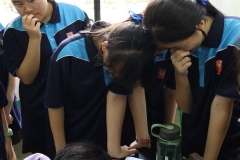 IMG_4667